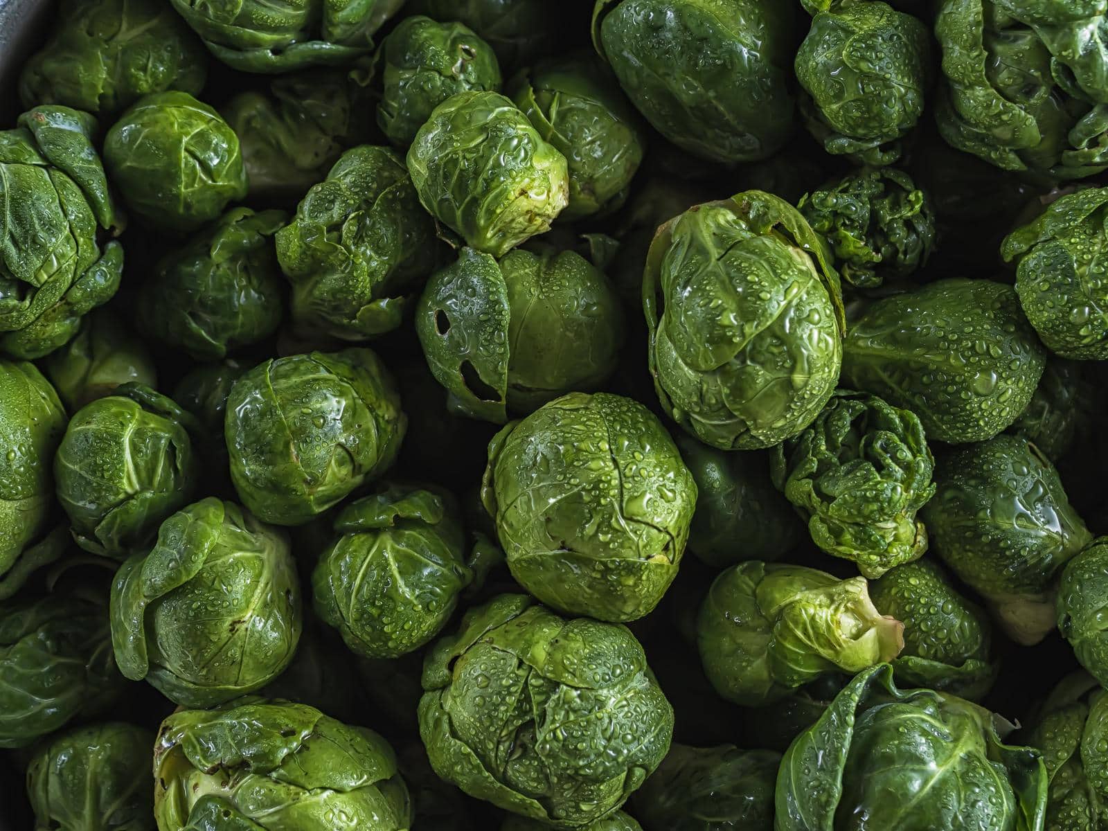 Brokuły – smaczne i zdrowe warzywa w polskim ogrodzie