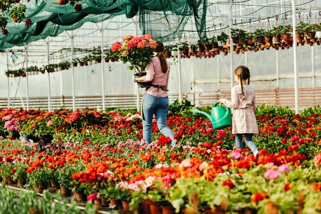 Jakie są kluczowe etapy produkcji roślin ozdobnych w Holandii?